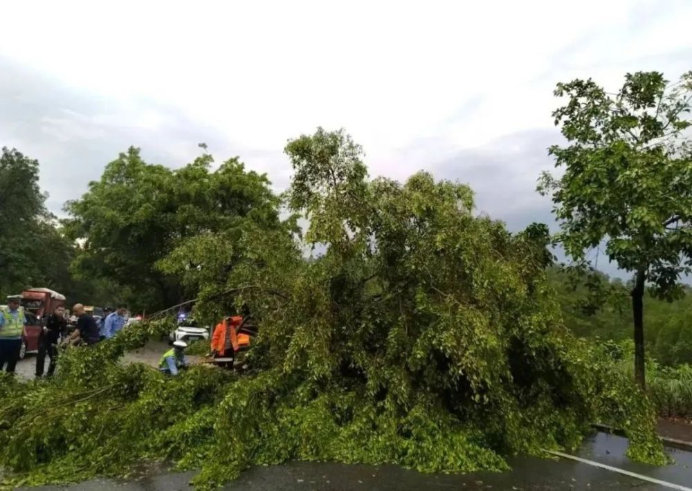 "夏日强风暴席卷广东，三天七夜肆虐，请及时准备应对雷雨与暴雨"