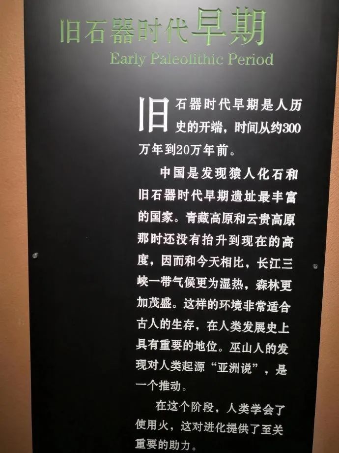 "揭秘：直立人并非中国人的祖先，你知道吗？"

如果您有关于这个主题的具体问题或需要更多的信息，我会很乐意帮助您。