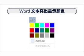 了解和应用：四种在Word中设置文本白色突出显示的方法