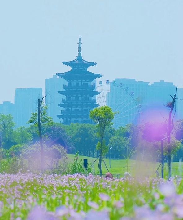 "洋湖孕妇会所：孕育中的准妈妈们，让我们一起迎接春天的能量场吧！"