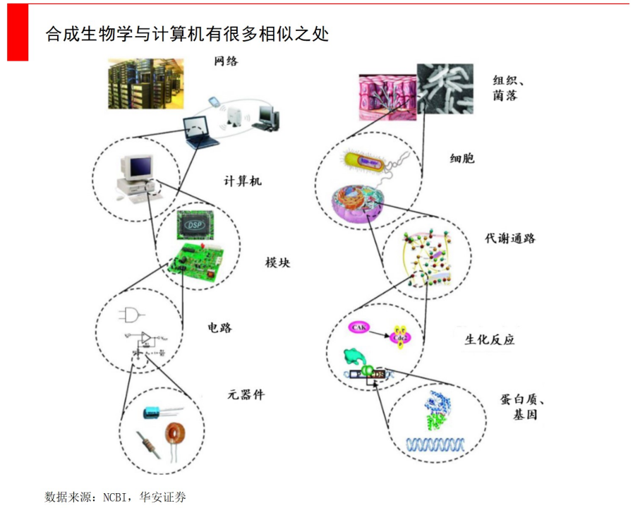 "巨大的中国潜在市场：经济增长新引擎的威胁还是机遇？—— 经纬低调研究报告"