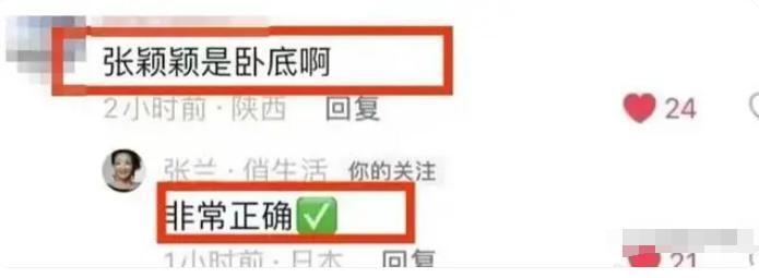 "张颖颖起诉张兰，小S为具俊晔演唱会造势，但售票不佳"