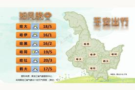 哈尔滨明日迎来暖阳！11日最高温可达22℃，暖意渐浓的冬日早晨