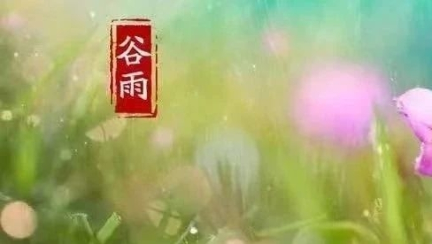 今日谷雨：除了健脾祛湿和预防五种疾病外，还有这些地道的谷雨习俗你知道吗？