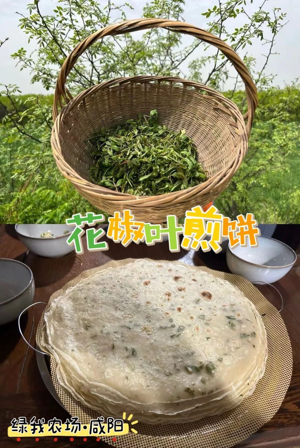 "互联网营养师为您解析：晚间直播！12款野菜特色菜谱带你领略大自然的丰富营养"