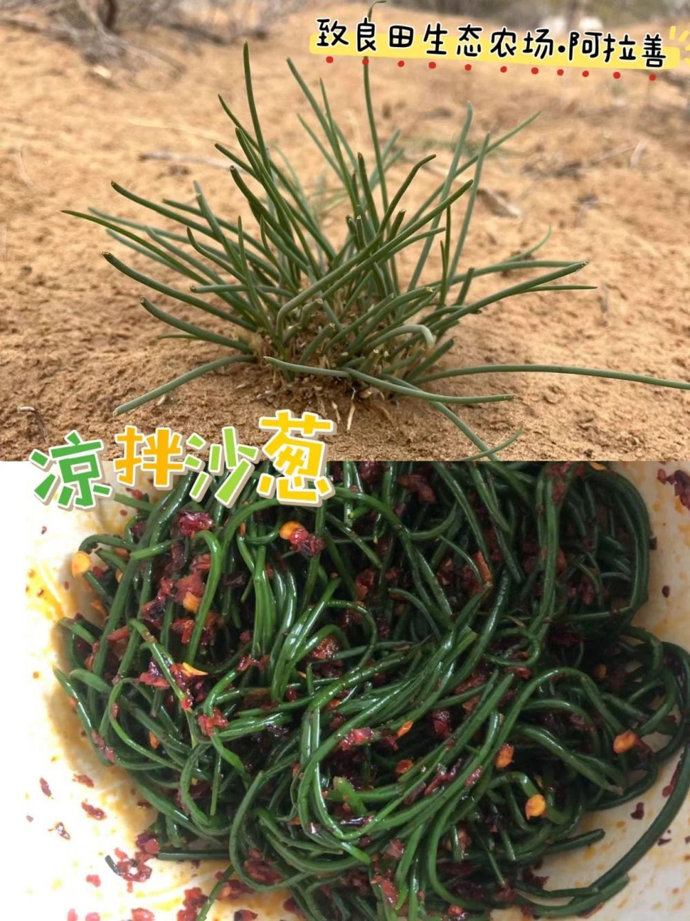 "互联网营养师为您解析：晚间直播！12款野菜特色菜谱带你领略大自然的丰富营养"