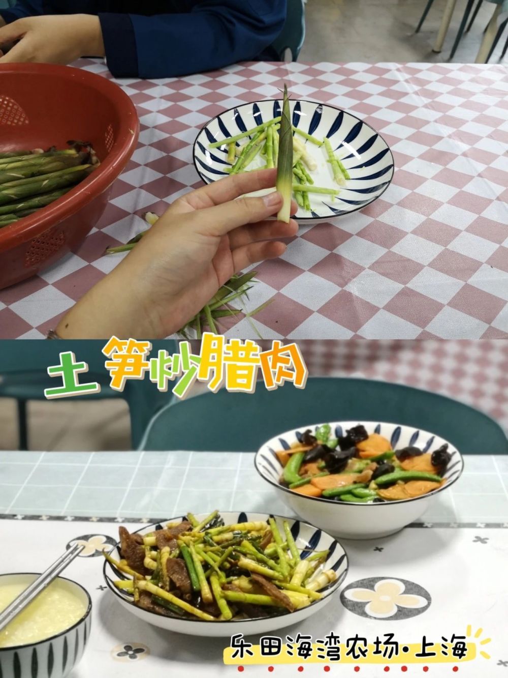 "互联网营养师为您解析：晚间直播！12款野菜特色菜谱带你领略大自然的丰富营养"