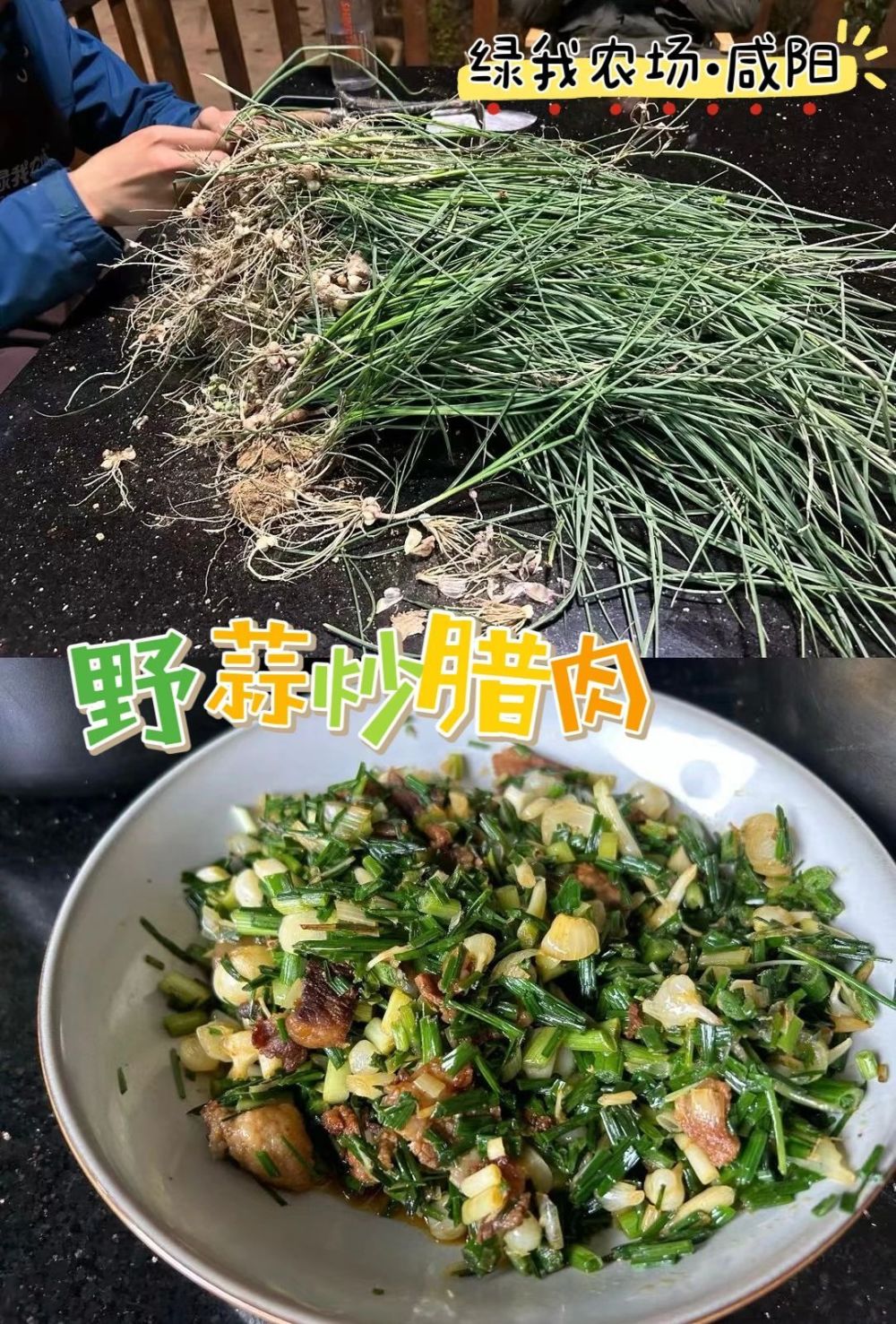 "互联网营养师为您解析：晚间直播！12款野菜特色菜谱带你领略大自然的丰富营养"