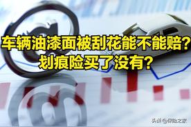 车主注意：车辆油漆面被刮花能赔吗？车漆受损是否有必要购买划痕险?