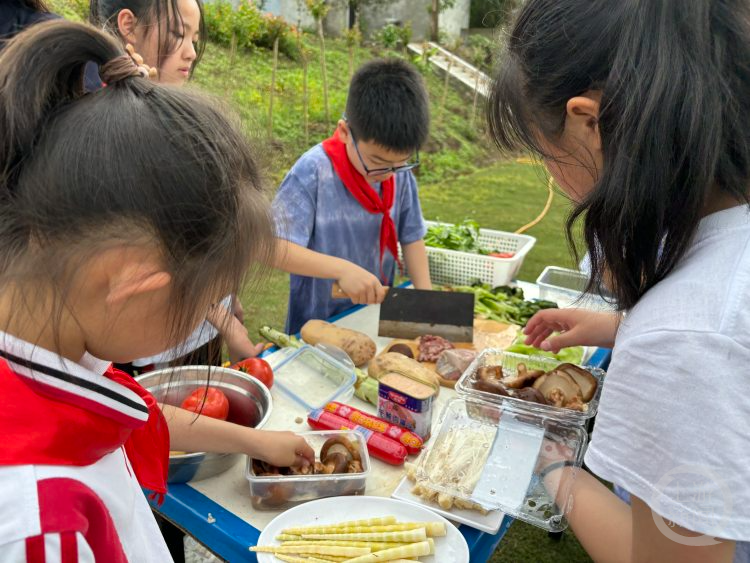 "学校春游活动：孩子们烹饪的绝活展示，带上锅碗瓢盆享受美食乐趣！"