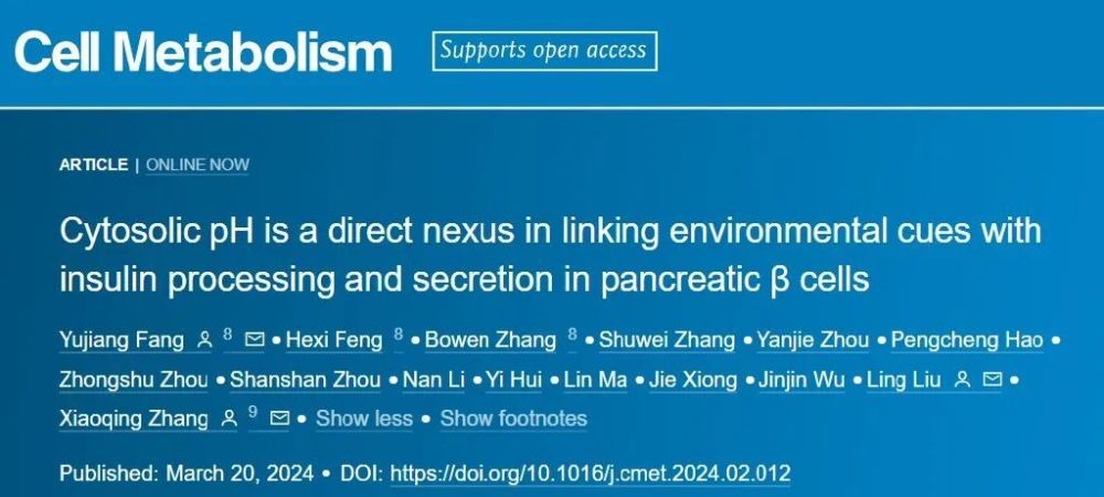 "同济大学章小清/刘玲/房玉江团队揭示新机制：细胞内pH-Smad5信号通路调控胰岛素分泌的新发现"