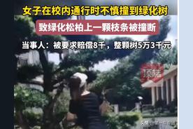 女子在校内驾车不慎撞倒绿化树，赔偿金额争议：解读相关法律规定