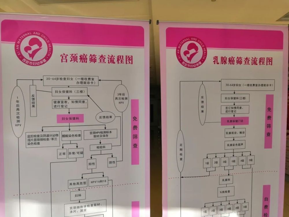 "震惊！仅用7000块就能解决所有妇科问题？这份指南不容错过！"