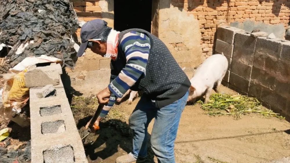 "不记得妈妈的样貌，但深深记忆着爷爷奶奶的爱：男孩从小在祖父母身边长大"