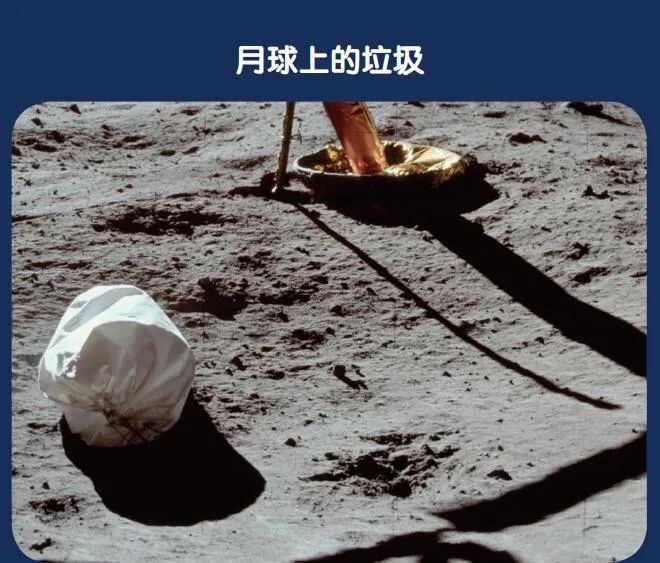 "探索宇宙奥秘：揭秘太空中的微型生命进化之谜"