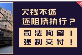 欠款不还：司法拘留与强制交付的威慑力