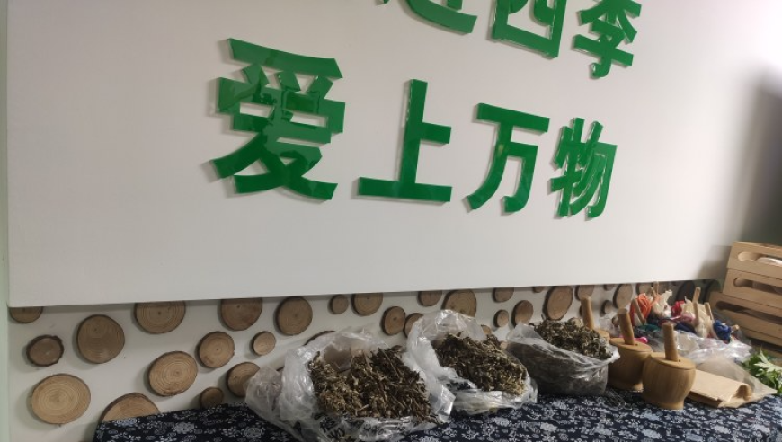 春意盎然：孩子们在美丽的植物园里举行生动有趣的班会