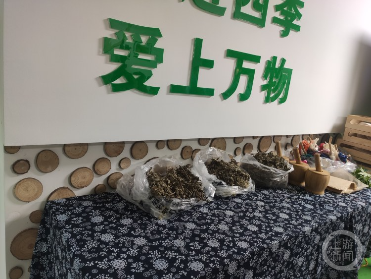 "春意盎然：孩子们在美丽的植物园里举行生动有趣的班会"