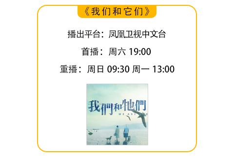 "熊猫‘苏琳’家的‘煤球’双胞胎火爆出道，奶妈揭秘培育秘诀"