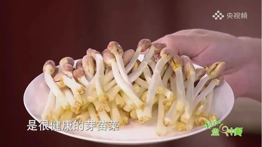 "别扔！这4种食物发芽不仅没毒，还营养飙升——一份详尽的解析与建议"