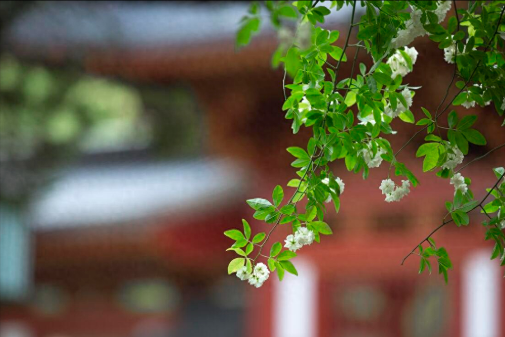 "谷雨过后 10 天的提醒：做好春季饮食与清洁卫生，谨防交替季节伤害"