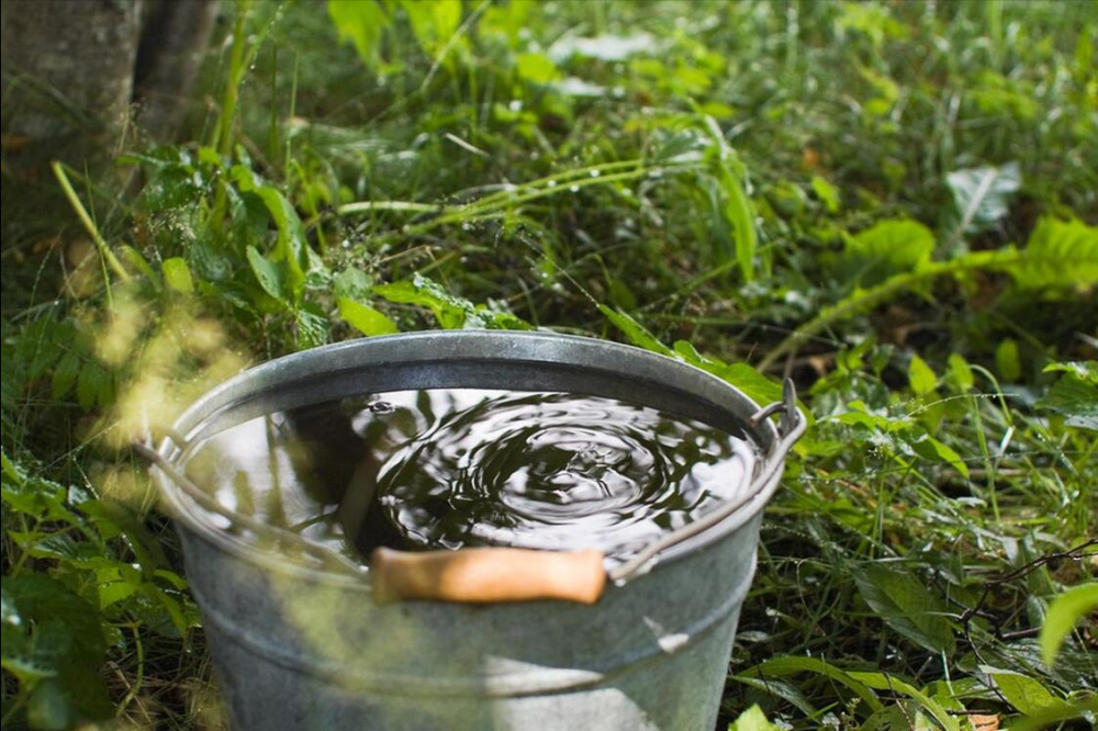 "谷雨过后 10 天的提醒：做好春季饮食与清洁卫生，谨防交替季节伤害"