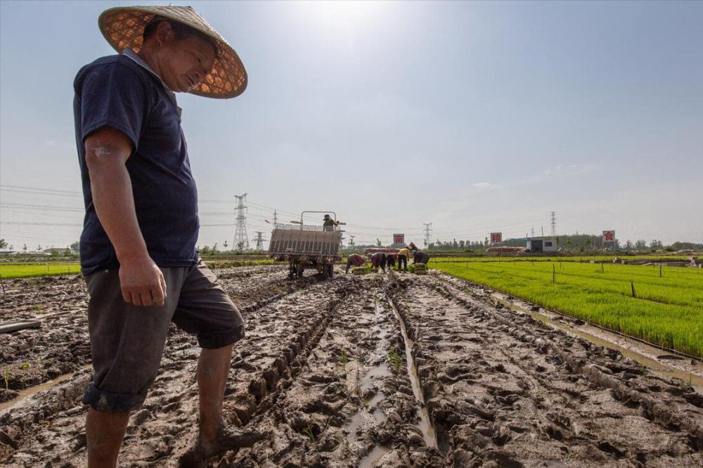 "谷雨过后 10 天的提醒：做好春季饮食与清洁卫生，谨防交替季节伤害"