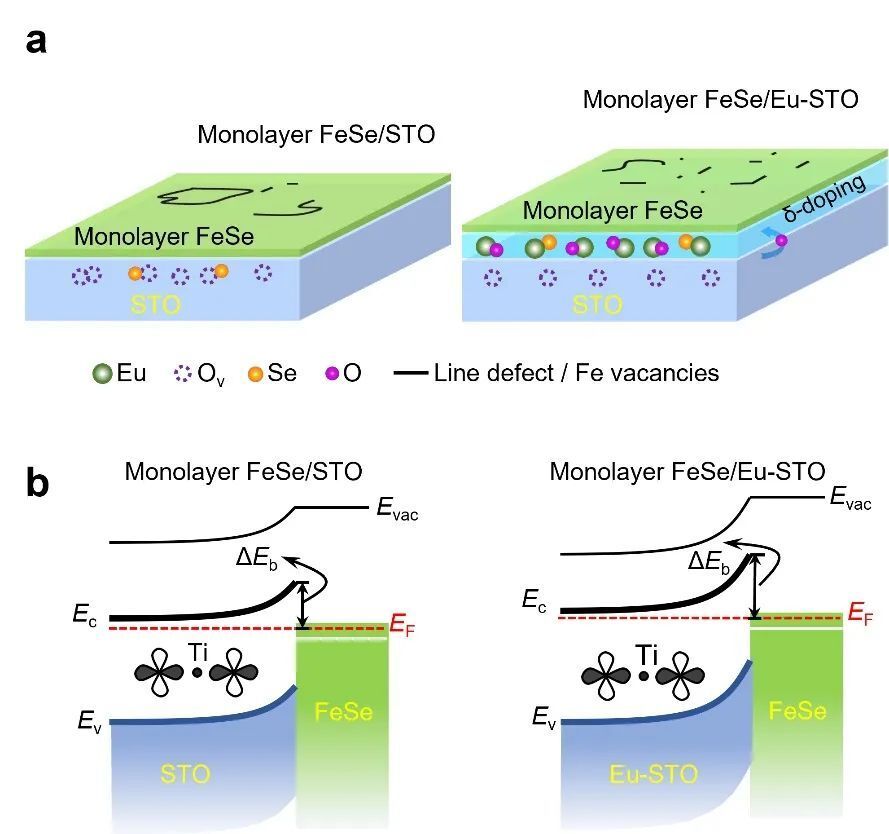 "掌握超导与非晶态铁氧体界面对位材料的制备策略：FeSe/SrTiO3（001）界面金属掺杂增强系统的研究进展"