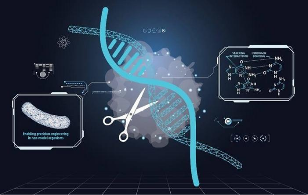 "AI与量子化学的结合：提升基因的预测性和准确性"