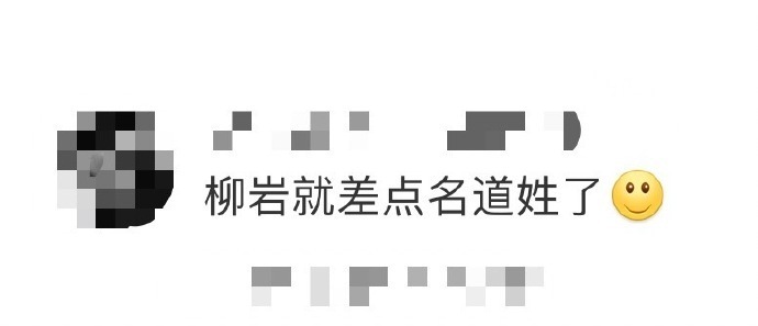 "柳岩成功转型成为大女主，从包贝尔伴娘事件到逆袭人生新篇章"