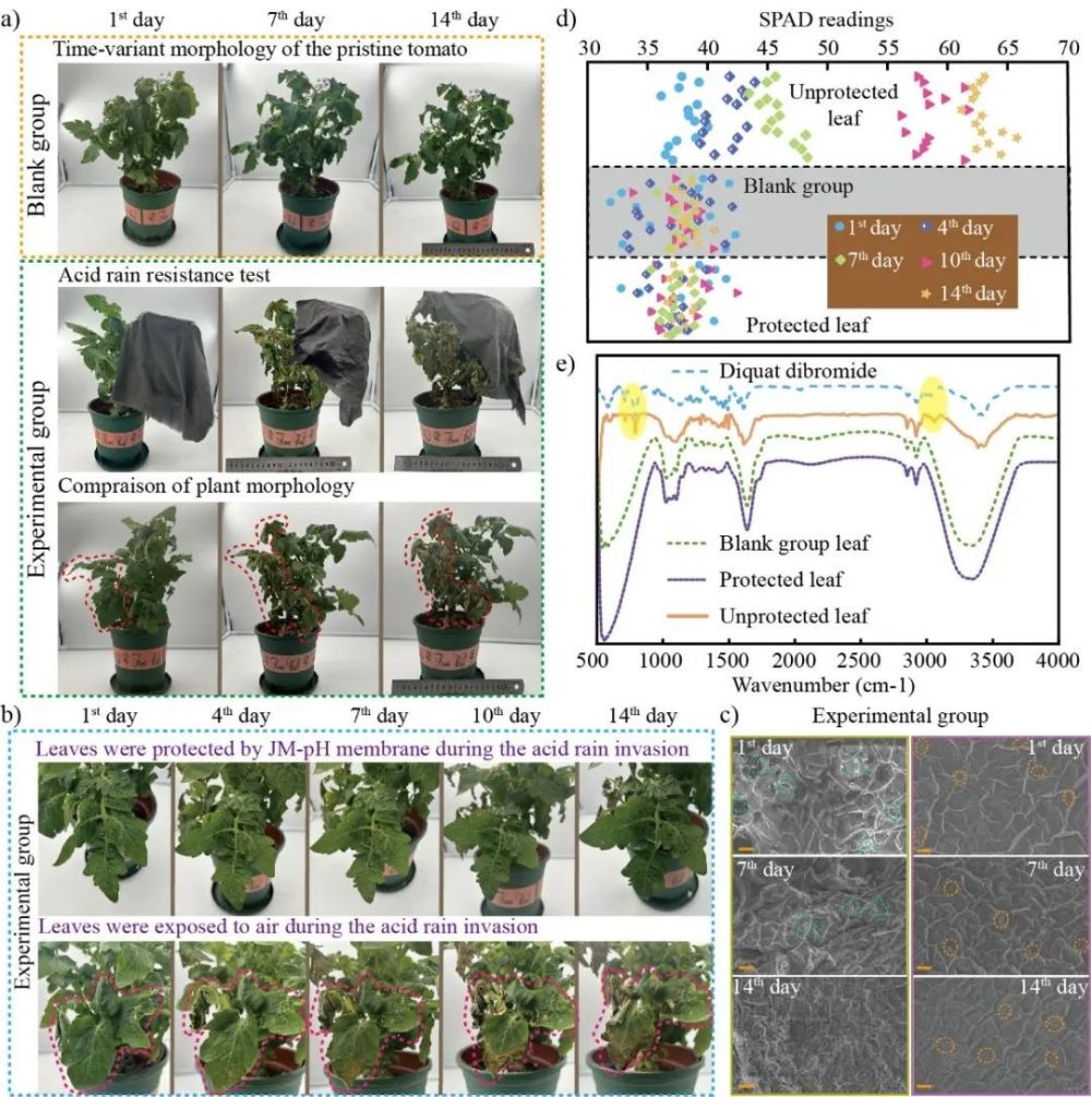 "广西大学刘黎明教授的最新研究成果：液体门控特性和pH响应Janus膜解析"