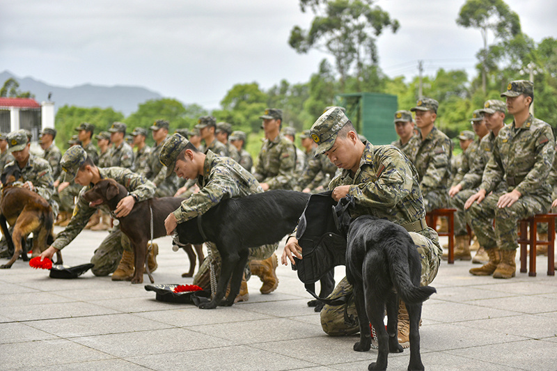 "福建武警喜添八猛将：神犬奇兵助威壮士军威"