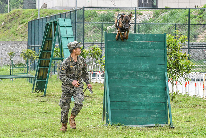 "福建武警喜添八猛将：神犬奇兵助威壮士军威"