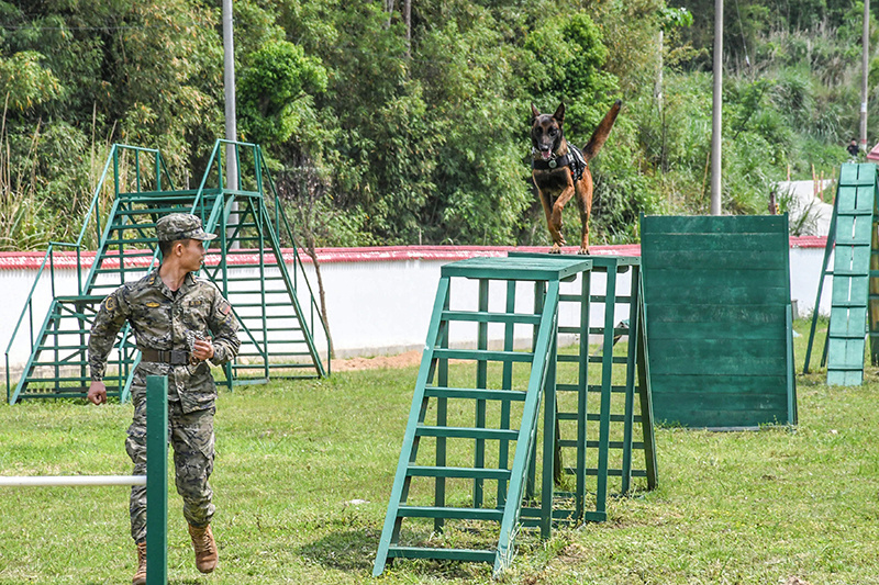 "福建武警喜添八猛将：神犬奇兵助威壮士军威"