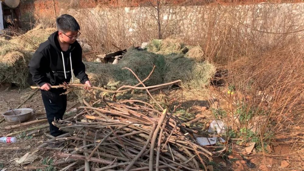 "奶奶：独立抚养孩子，与爸爸分隔两地的挑战与希望"