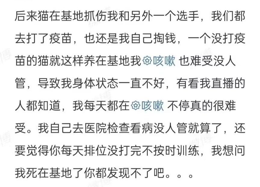 "全球BP策略挑战：TT辅手炮轰LPL夏季赛俱乐部，新组合与老对手再度相遇"