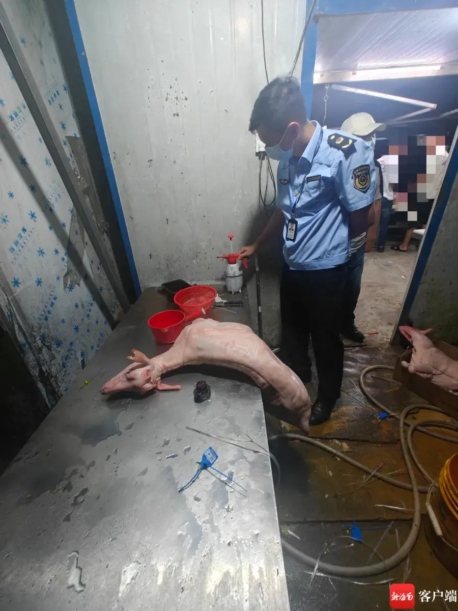 "海口市场监管部门启动夜查行动，查处了一批涉及染色食品的非法行为"