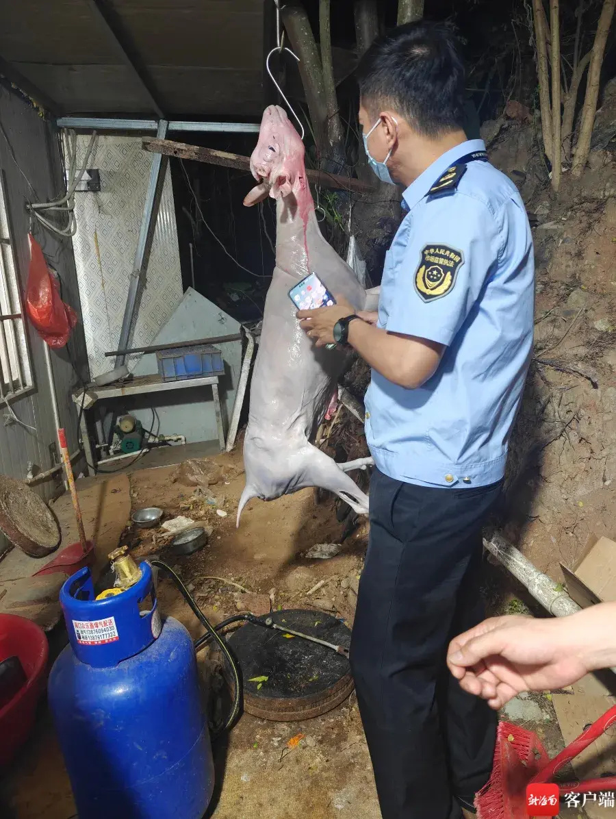 "海口市场监管部门启动夜查行动，查处了一批涉及染色食品的非法行为"