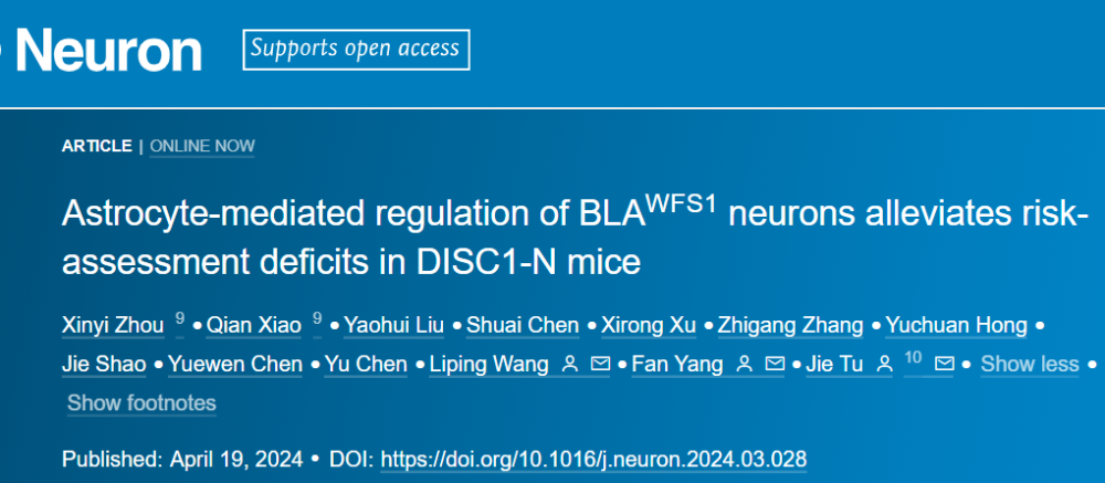 "脑科学研究：星形胶质细胞在神经环路调控中的角色及其对认知与行为的影响揭示"