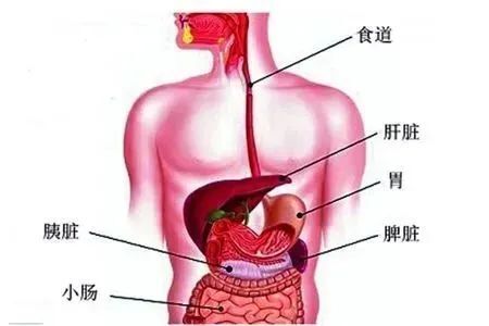 "深度解读：网上常见的五种危险区域让你心跳加速，肠子都差点断掉！"