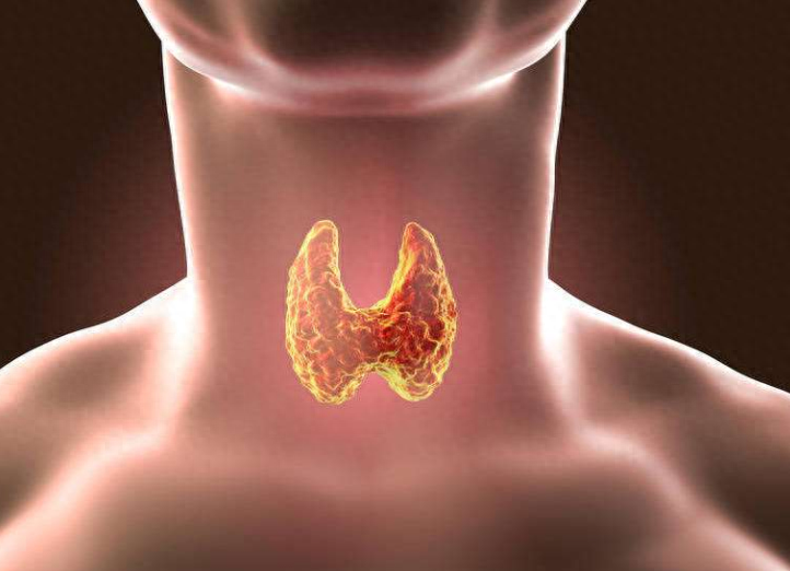 "谨慎的声音沙哑、吞咽困难？这是甲状腺囊肿的早期预警信号，快来看看是否需要进行检查!"