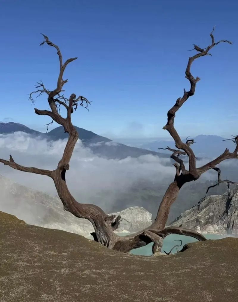 "中国女游客火山拍照坠亡案引起公众关注：目击者发声"