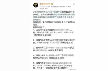 海南省一名老人实名举报副厅级干部妹妹夫的巨额财产和复杂的身份问题