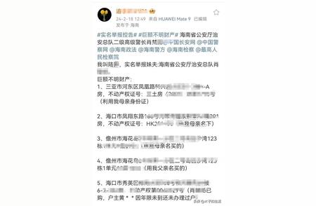 解开二警长妹夫贪污疑云：海南老人生擒昔日家丑，为母报仇血债情仇亟待昭雪