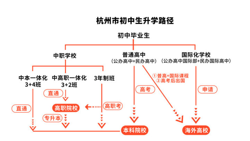 我是中等生：我能冲进优高吗？职校的选择是否明智？初升高选择全指南