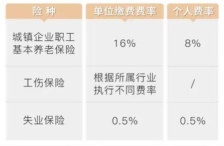 今年社保怎么购买？每月需要支付多少？官方权威答案在此揭晓！