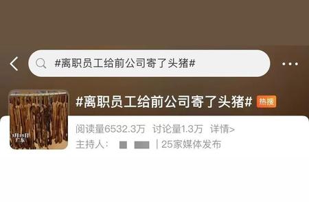 女子离职后，给前公司寄了一头猪：网友热评的温情故事