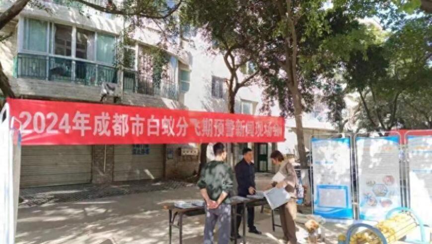 白蚁入侵南国多地警惕！如何有效防范？| 网站编辑建议