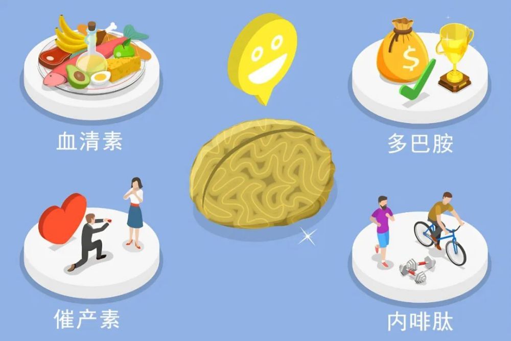 "旧网页为何加速老化速度？揭秘其中秘密，可能与你的生活习惯有关！"