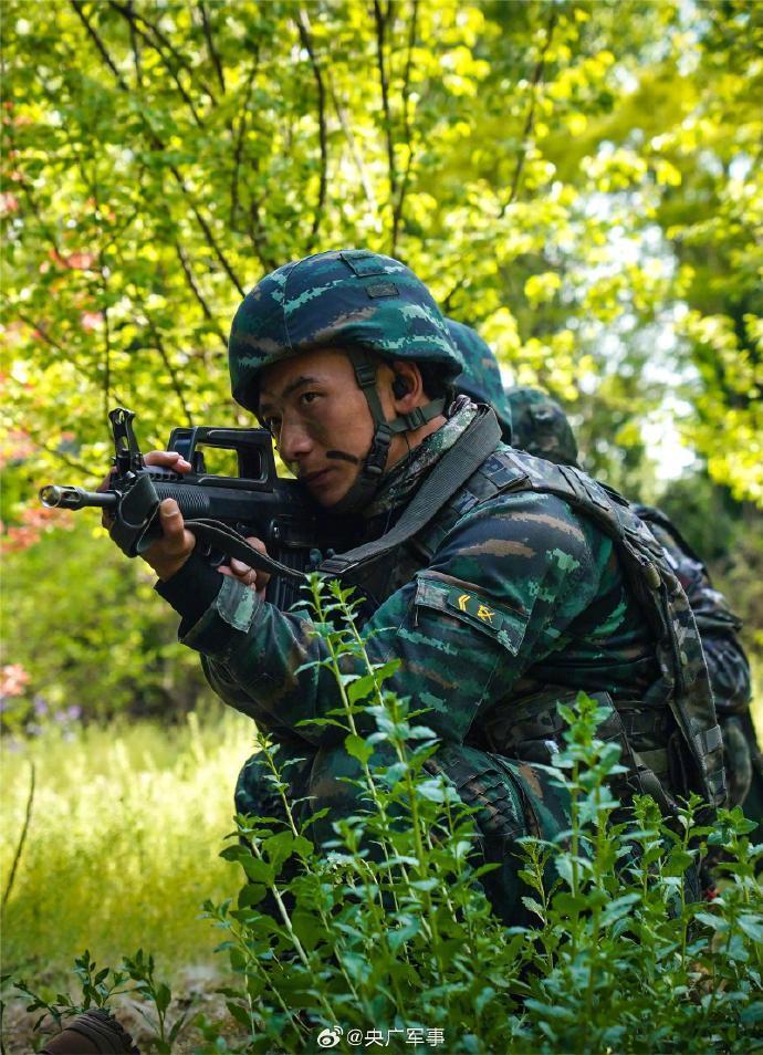 "感受惊心动魄！震撼体验，武警特战队员的实战化训练实况展示"